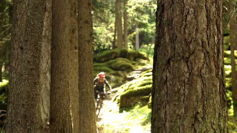 Ride Alpine Trails Mountainbike Freeride & Enduro Camp MTB Freeride Ischgl - Bozen Ride on