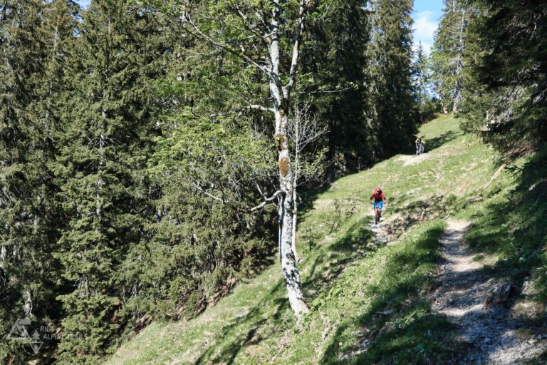 MTB Allgäu Trails