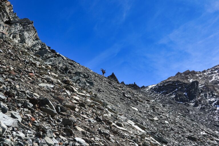 Ride Alpine Trails Aosta Camp 2.0
